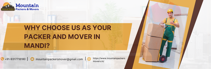 packer and mover in Mandi
